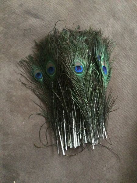 Peacock feathers