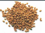 fenugreek