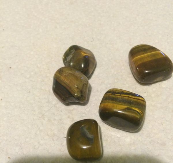 Small tigers eye