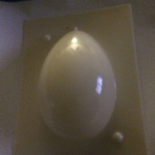 Large egg