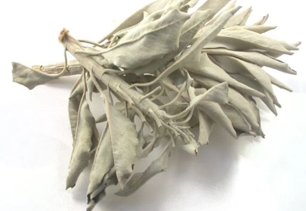 White sage