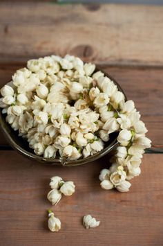 Jasmine flowers