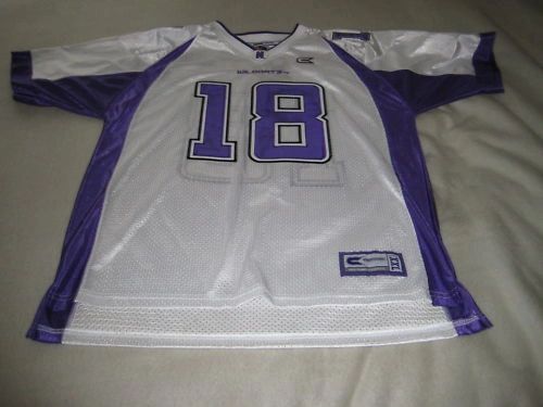 #18 NORTHWESTERN Wildcats NCAA Football White Mint Throwback Team Jersey