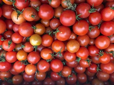 summer cherry tomatoes 
