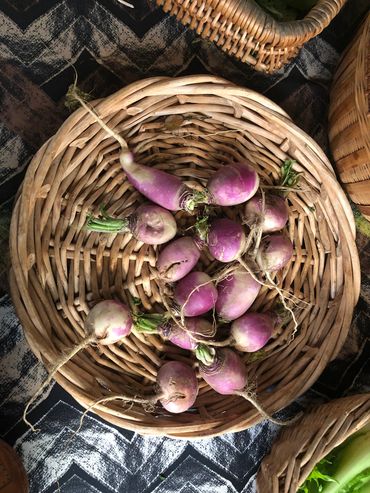 purple turnips