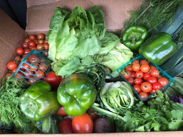 summer csa box