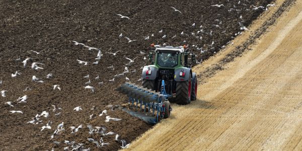 Fendt tractor ploughing