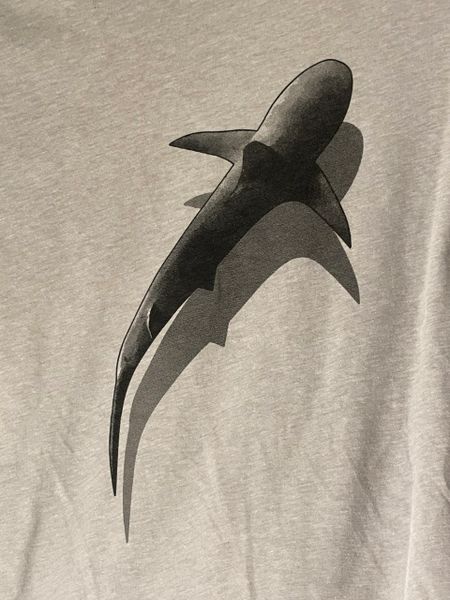 Attack Hunger Adult Shallows Tee