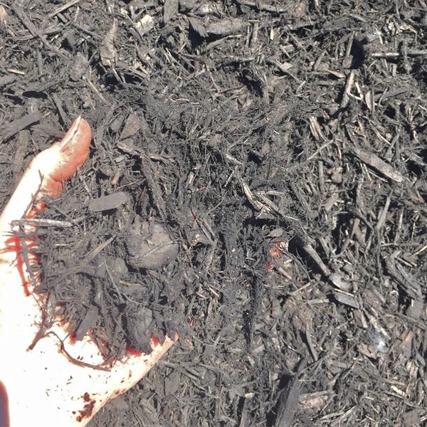 Black Cedar Mulch Bulk