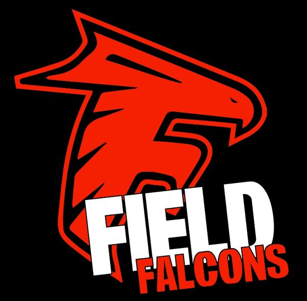 Field Falcons- 3D Falcons