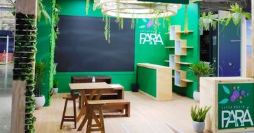 Locação de plantas paisagismo eventos feiras stands