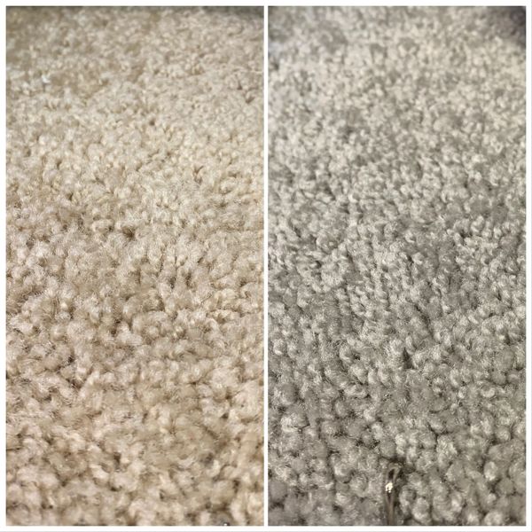 Products Gator Carpet And Tile