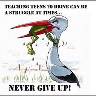 DPS Road Test 
Online Driver Education Class
Traditional Drivers Education Class
Parent Taught Drivers Education
Road Test Preparation Lessons
Authorized Third Party Testing Site