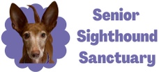 Senior Sighthound Sanctuary