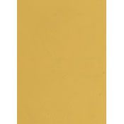 VENETIAN GEM TUSCANY GOLD GALLON