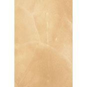 FAUX EFFECTS LUSTERSTONE CHAMPAGNE MIST GALLON