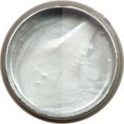 SETCOAT (AQUABOND) METALLIC TRUE SILVER QT