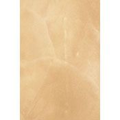 FAUX EFFECTS LUSTERSTONE CHAMPAGNE MIST GALLON