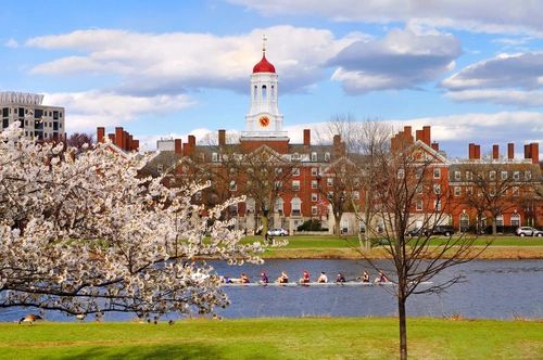 sample college essays that worked for ivy league