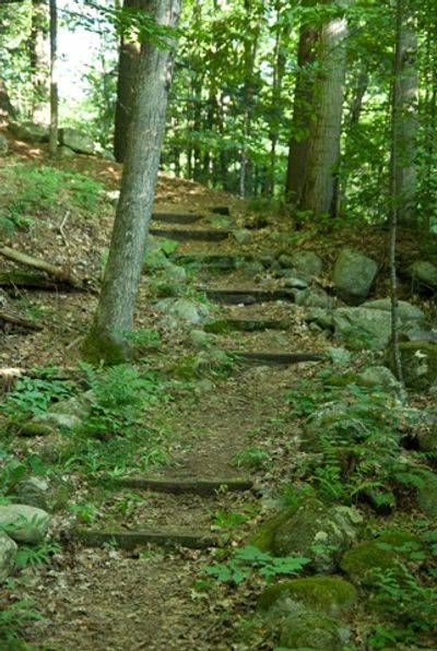 Path leading thru trees in Westport, NY