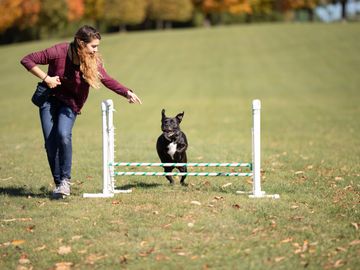 A girl with long brown hair in a burgundy shirt and jeans runs with a black dog jumping a jump. 