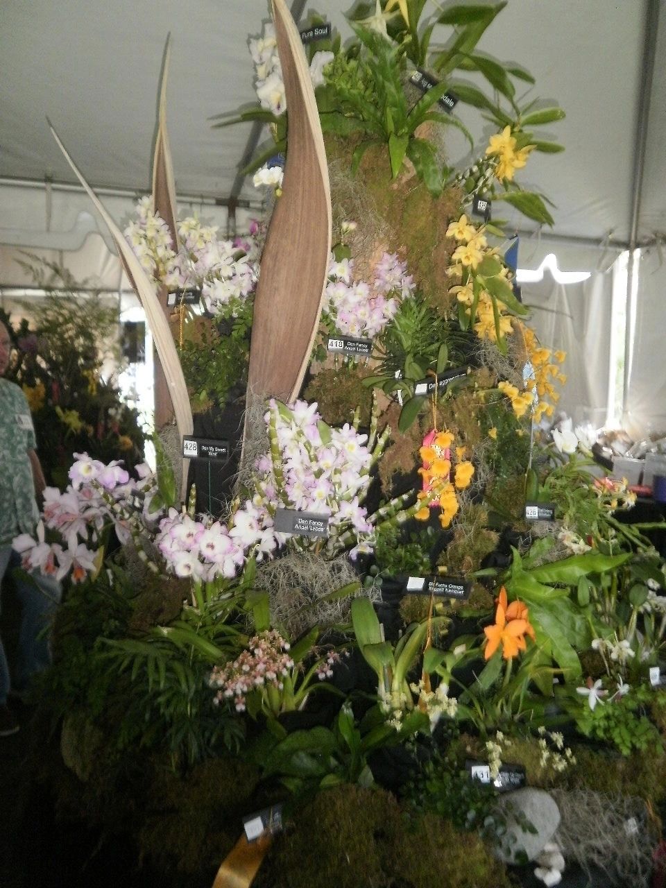 Discover the Vero Beach Orchid Show 2025: A Blooming Extravaganza