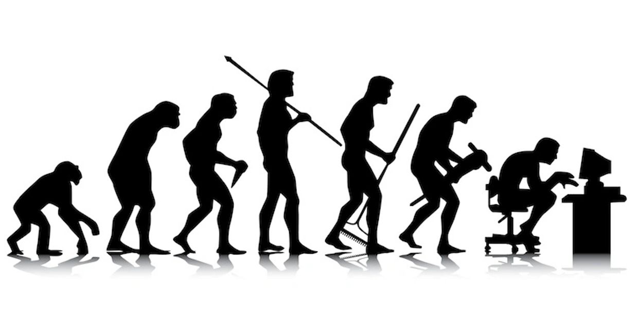 Illustration of evolution of human being