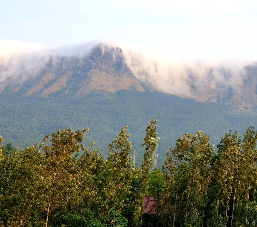 Vedantikala
Chikmagalur resort
Resort in Chikmagalur
Pure Vegetarian Resort
Couple Resort