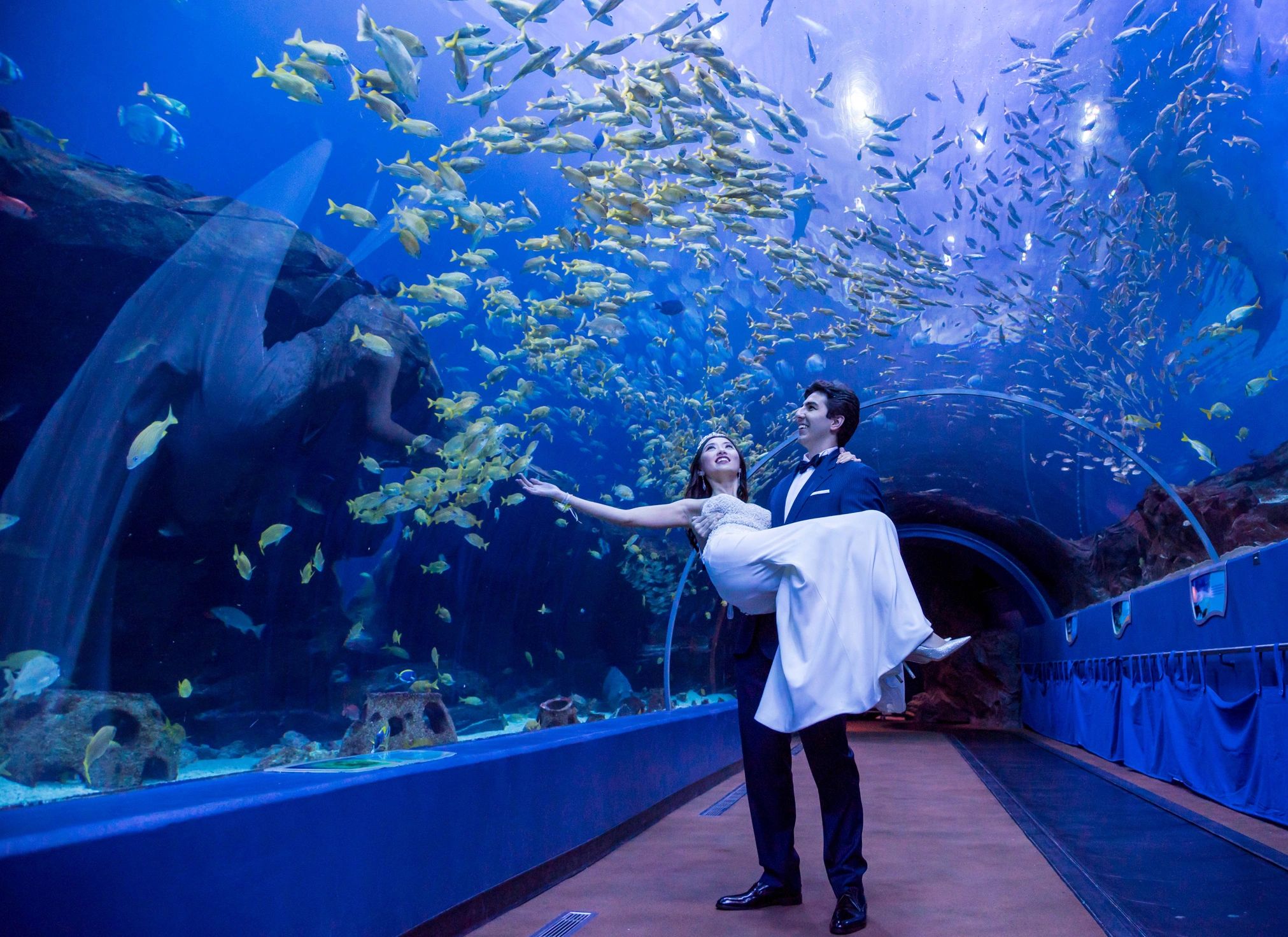 Couple in formal attire poses in an underwater tunnel surrounded by fish.