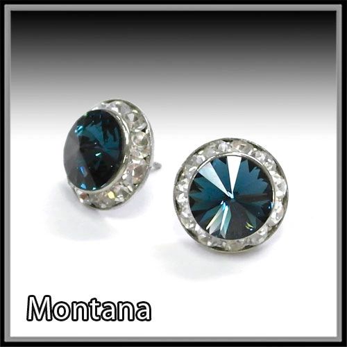 Montana Crystal Earrings