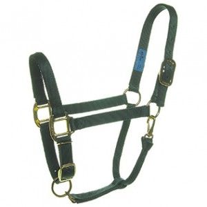 Adjustable nylon halter