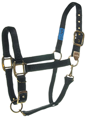 Deluxe Nylon Halter