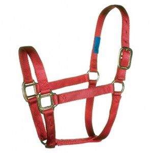 Nylon Halter