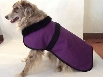 Quilted Dog Blanket with Fur Collar