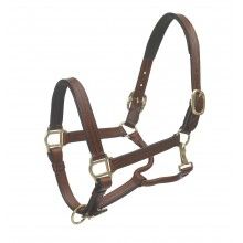 Ovation® Triple Stitched Padded Halter