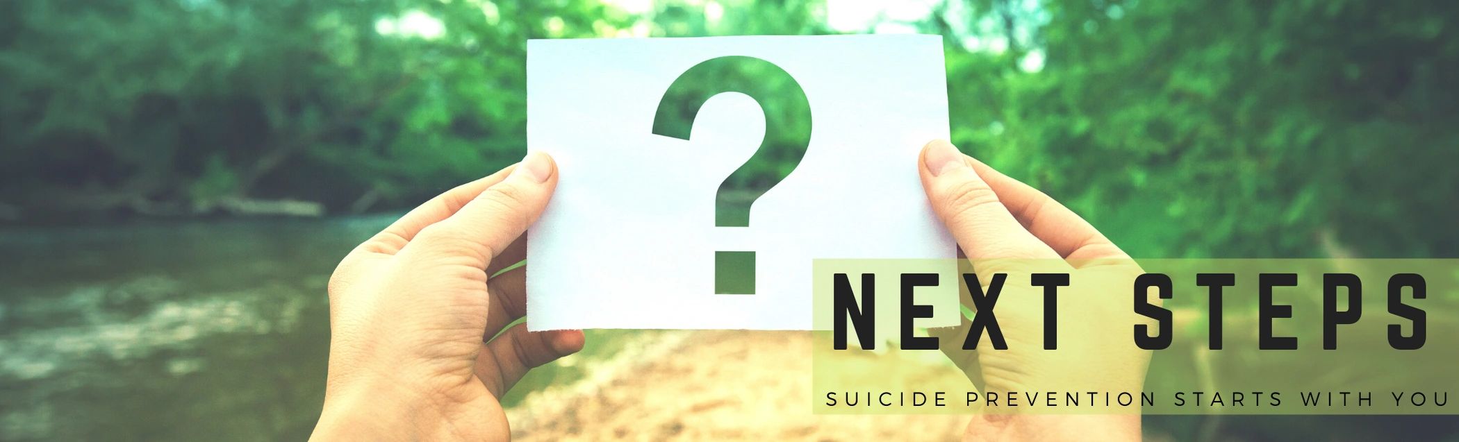 Next Steps suicide prevention to stop one