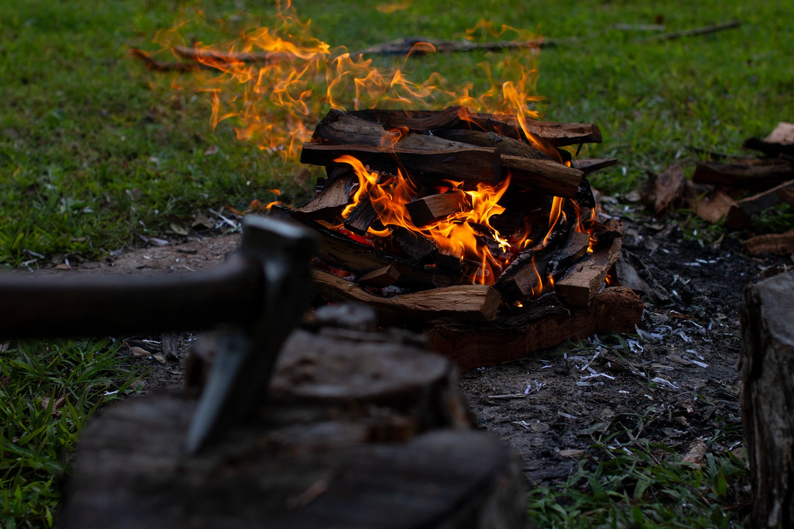 RECOILtv Carnivore: Hawaii Forge to Table