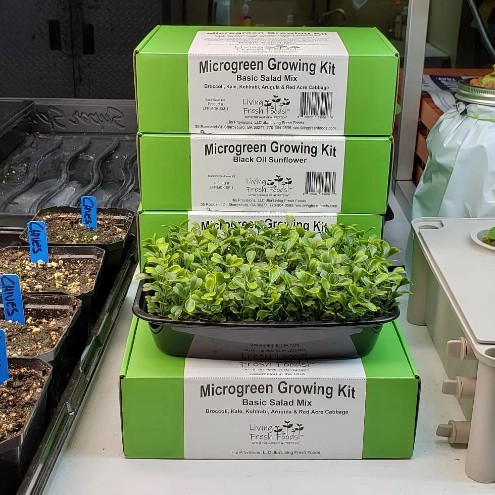 top-6-healthiest-microgreens