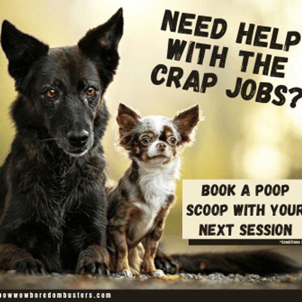 Bow-Wow Boredom Busters - Pet Services, Dog, Enrichment