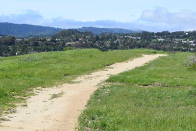 Sugarloaf Hill, San Mateo, California.