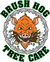 Brush Hog Tree Care LLC