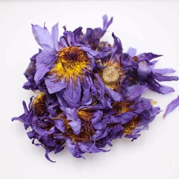 Dried Egyptian Blue Lotus - Promoted Relaxtion, Lucid Dreaming, Spirit Communication and More! Spirit Guide and Angel Offering