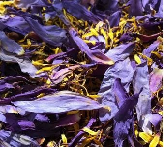 Dried Egyptian Blue Lotus - Promoted Relaxtion, Lucid Dreaming, Spirit Communication and More! Spirit Guide and Angel Offering