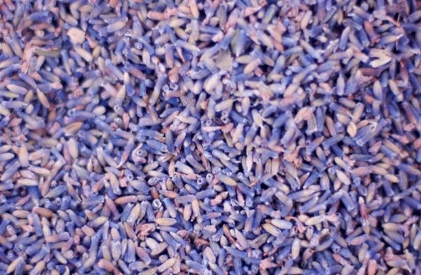 Energy Infused Dried Lavender - Powerful Offering and Life Enhancer! Fresh!