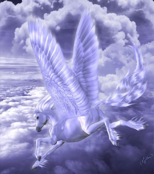 Young Pegasus - Brings Happiness To The Most Negative Of People Sweet Active and 100% Magickal