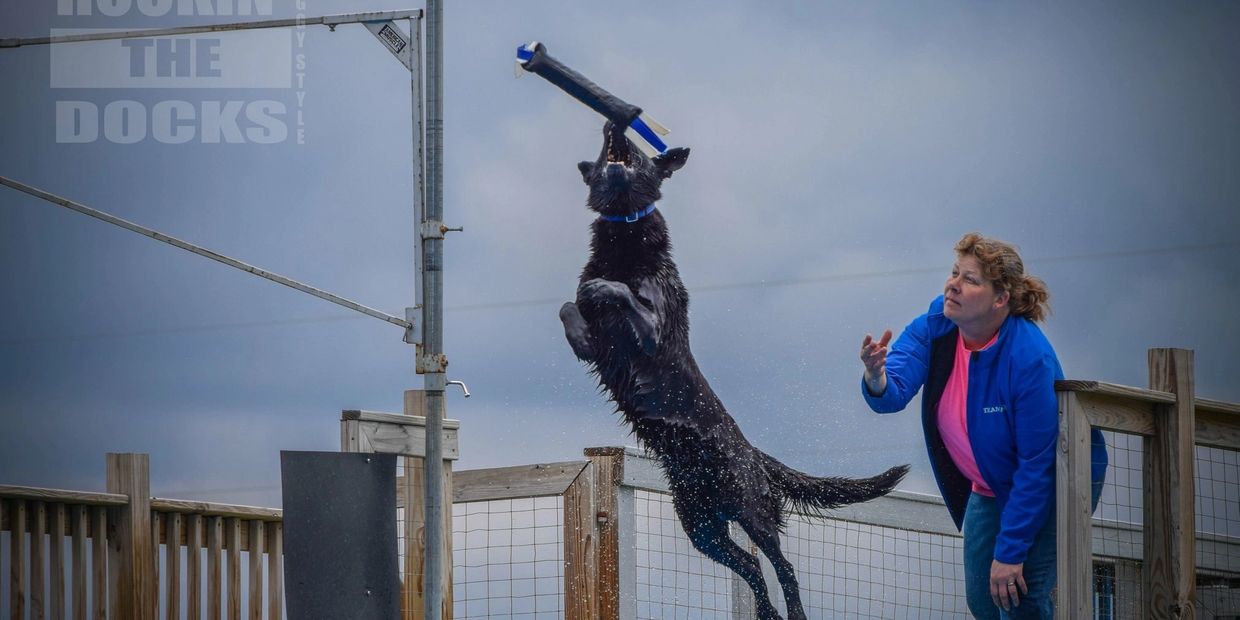 The Gated Dock Dog Training, Dock Diving
