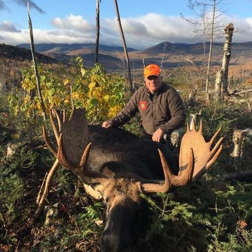 Mert Buzzell's moose 2019, weighed 837 lbs