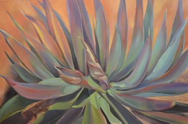 "Agave"
Oil
24" X 30"
SOLD