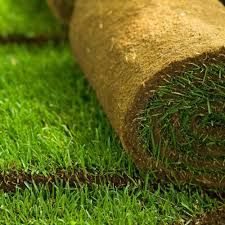 Ambassador Turf per Sq Metre Roll