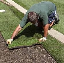 Contract Turf per Sq Metre Roll
